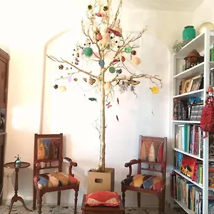 book here